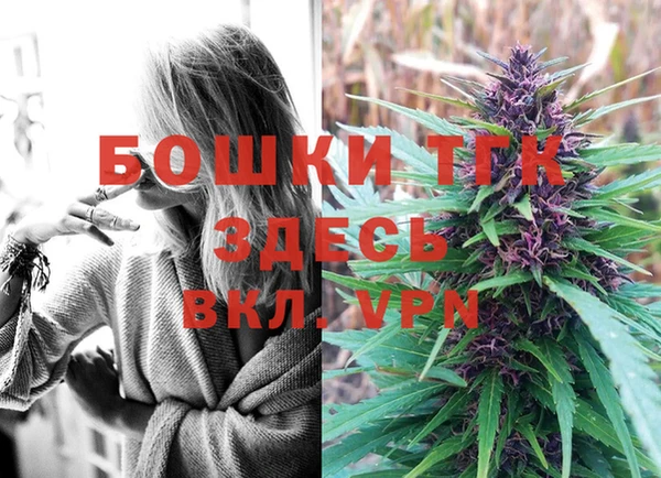 гашик Володарск